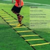 1e9ddc8b1a2435f4269670ec1ba89fd9.webp Agility Training Ladder