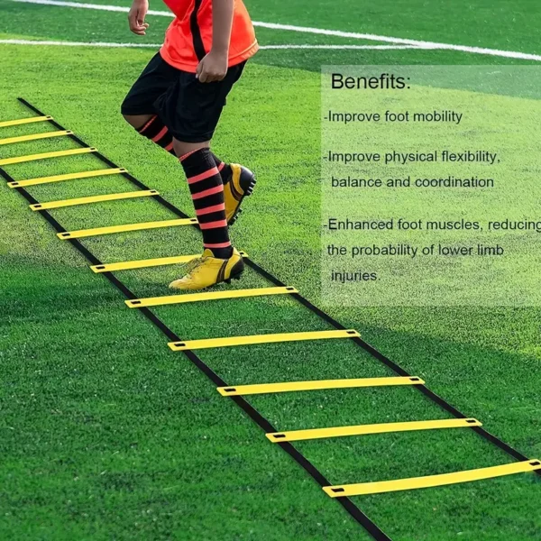 1e9ddc8b1a2435f4269670ec1ba89fd9.webp Agility Training Ladder