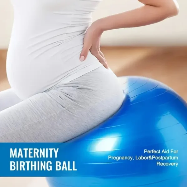 878ecd45-aeae-47be-9ecb-c8c7587d9f33.webp Blue PVC Exercise Ball 65.0cm