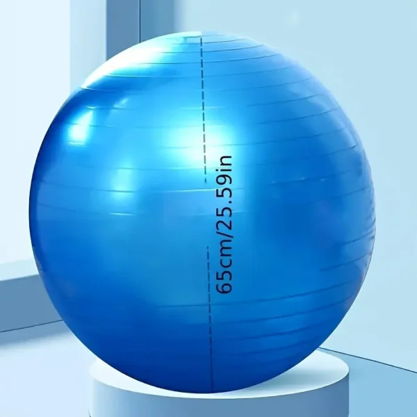 8c8ac410-0fbc-4a93-8a3c-29cf6a919523.webp Blue PVC Exercise Ball 65.0cm